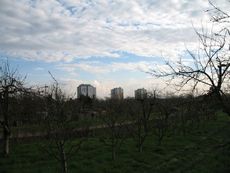 Weil am Rhein 003.jpg